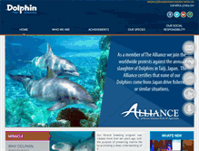 Tablet Screenshot of dolphindiscovery.org